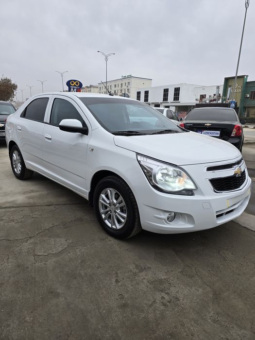 Кобальт ат сотилади 2023-24