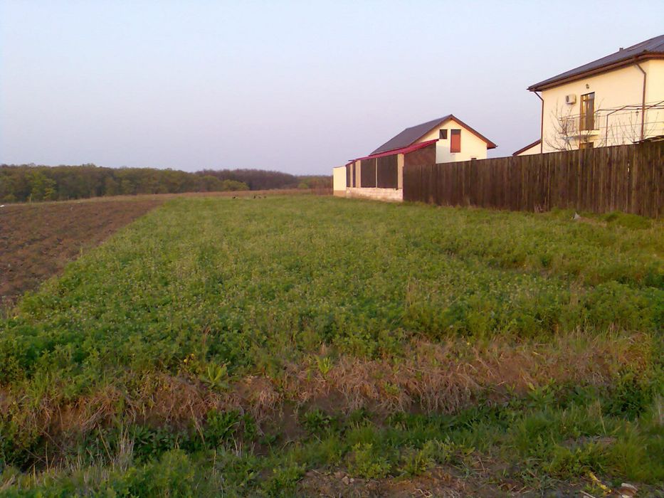 Teren INTRAVILAN 1000 mp Gradistea Ilfov