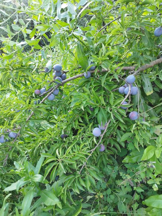 Продам дом район 11 мкр