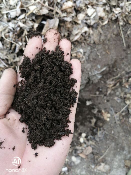 Sifatli biogomuslar tayyor