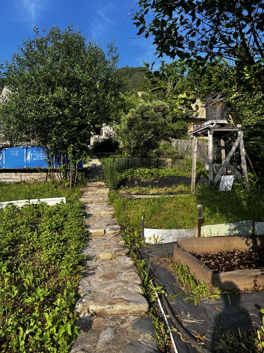 Продам дачу в с/о «Казахстан»