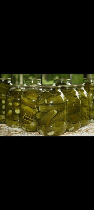 Продам огурцы бочковые.