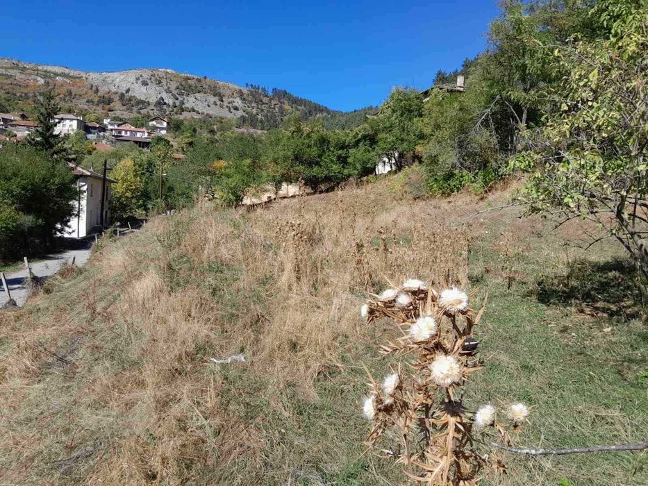 Продава се Къща в Пловдив, Център - 100 кв.м за 403 €/кв.м - Снимка #5