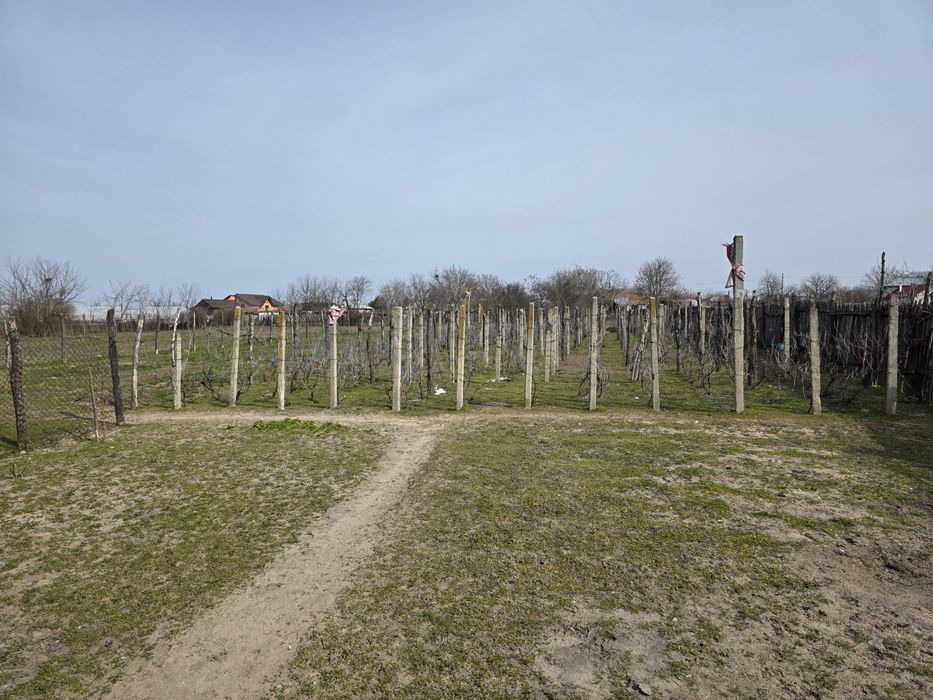 Vand casa comuna Celaru, sat.Soreni ,jud.Dolj