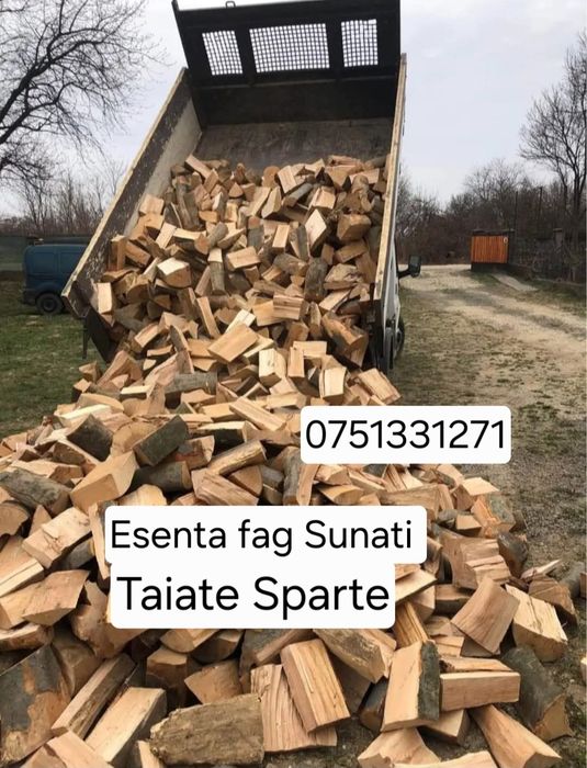 Lemne de foc fag