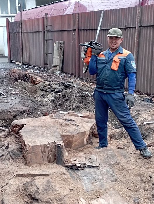 Спил, распил, сруб, обрезка деревьев, выкорчевка пней, кронировка ...