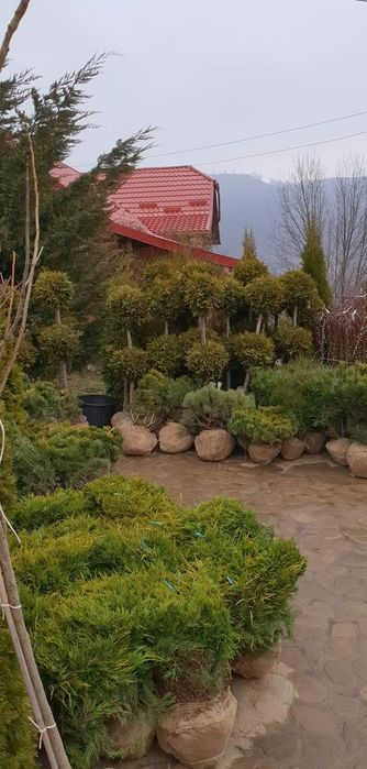 Cauti solutii ptr gradina ,deco garden va scapa de griji