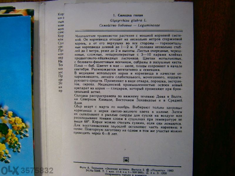 Зелената аптека (руски)