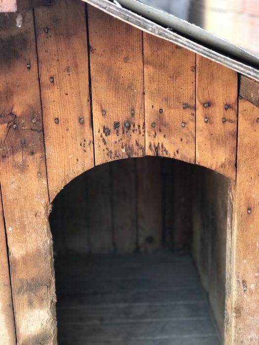 Масивна, голяма кучешка колиба