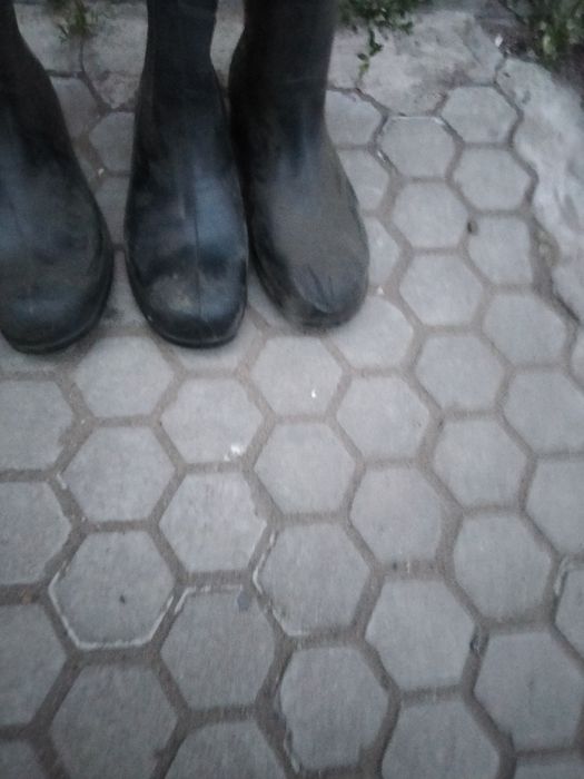 Продам сапоги резиновые 43.