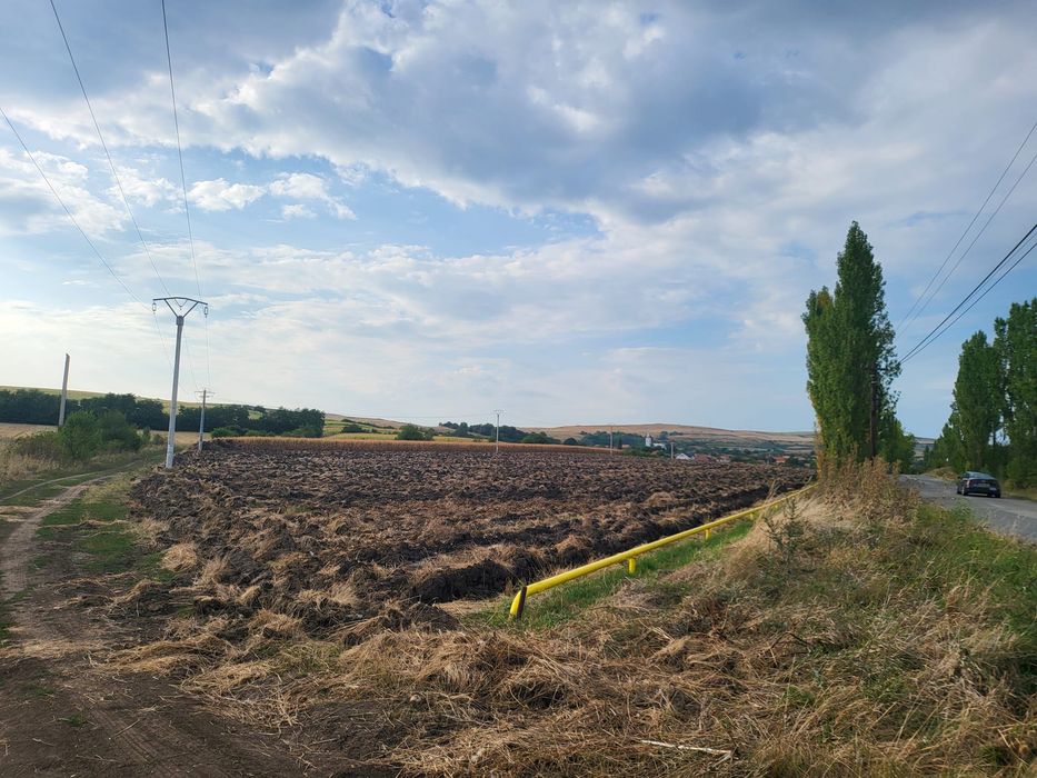 Vând 25.000 mp teren pentru hale in Tureni