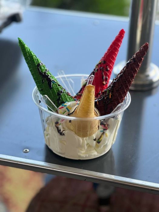 Frezer muzqaymoq gazvoda aparat