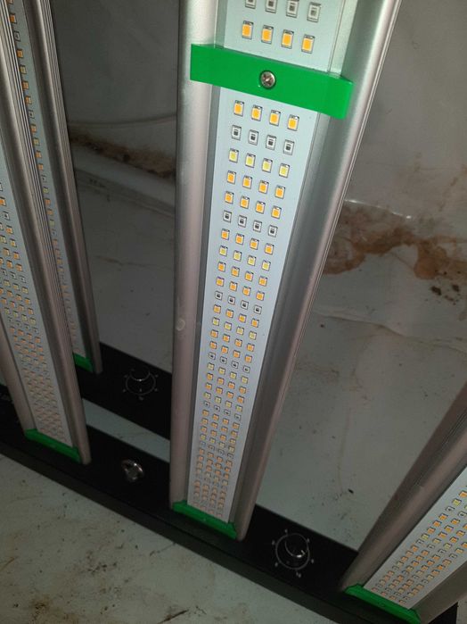 PHLIZON 1000w led grow light