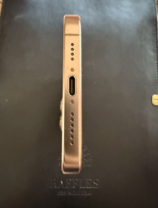 Iphone 16 Pro Max 256 Gb