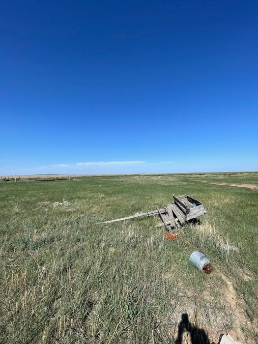 Продам КРС без скота