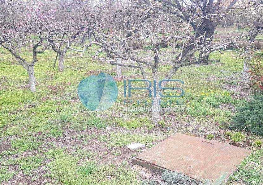 Продава се Парцел в с. Царев брод, Област Шумен - 780 кв.м за 52 €/кв.м - Снимка #1