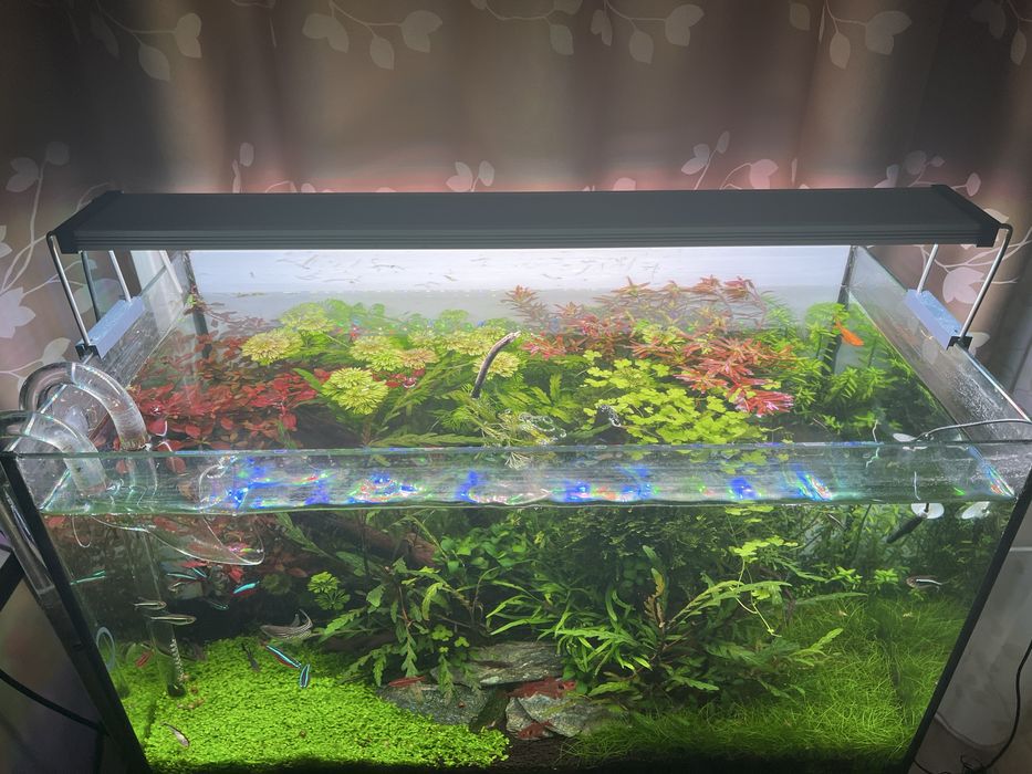 Lampa acvariu LED Twinstar IV 600EA