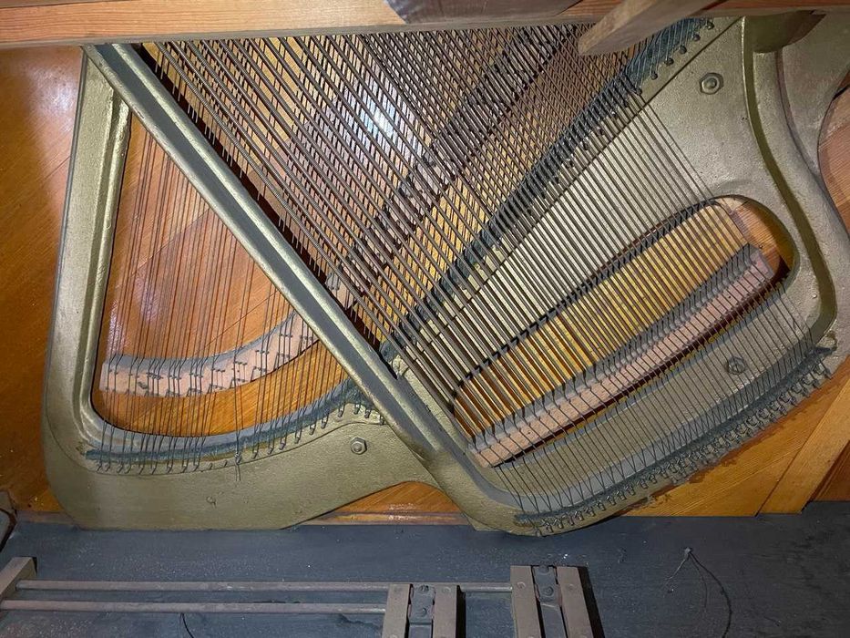 Pianina L Schmidt