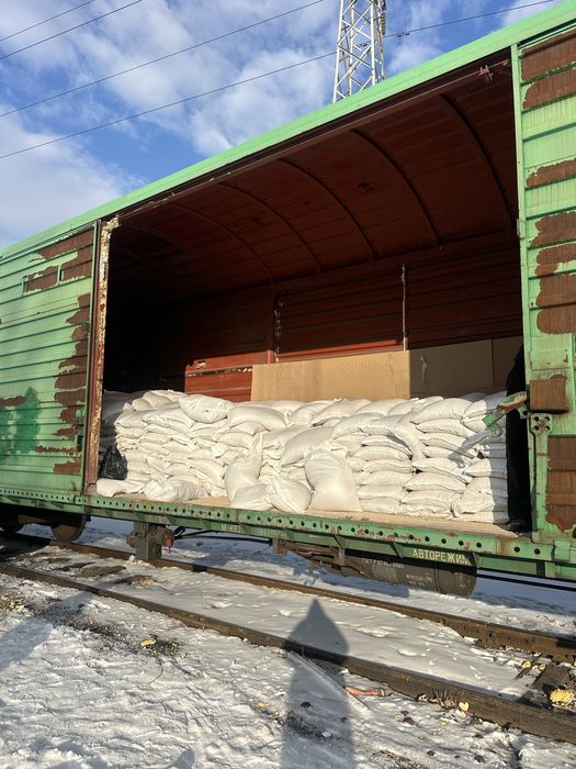 Ракушка кормовая