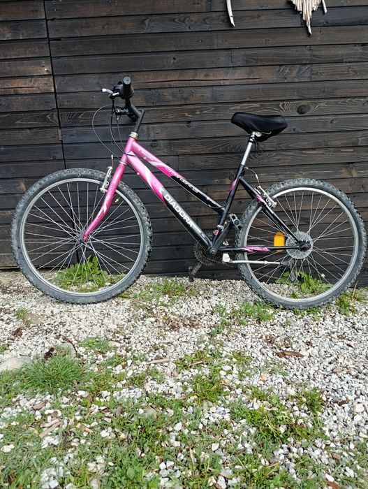 Bicicleta de dama