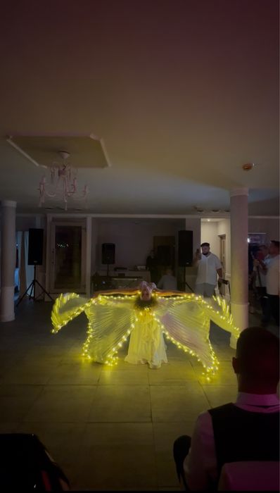 Dansatoare - trupa dans