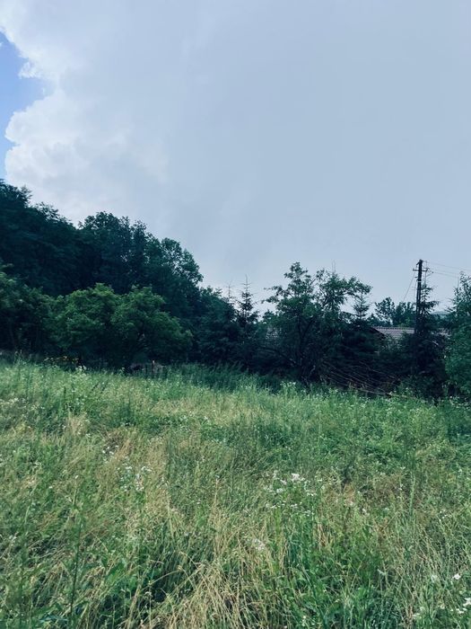 Teren de vânzare în adunați