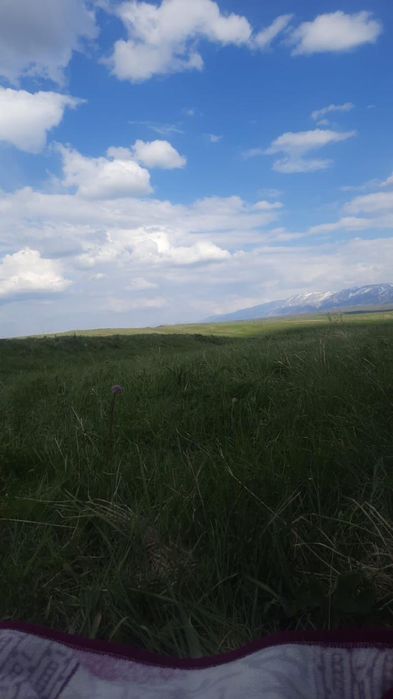 Земельный участок