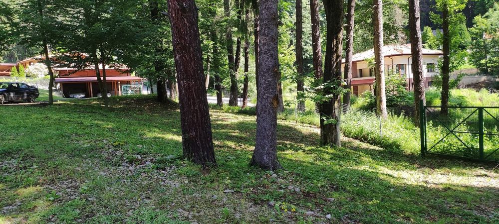 Косене на тревни площи