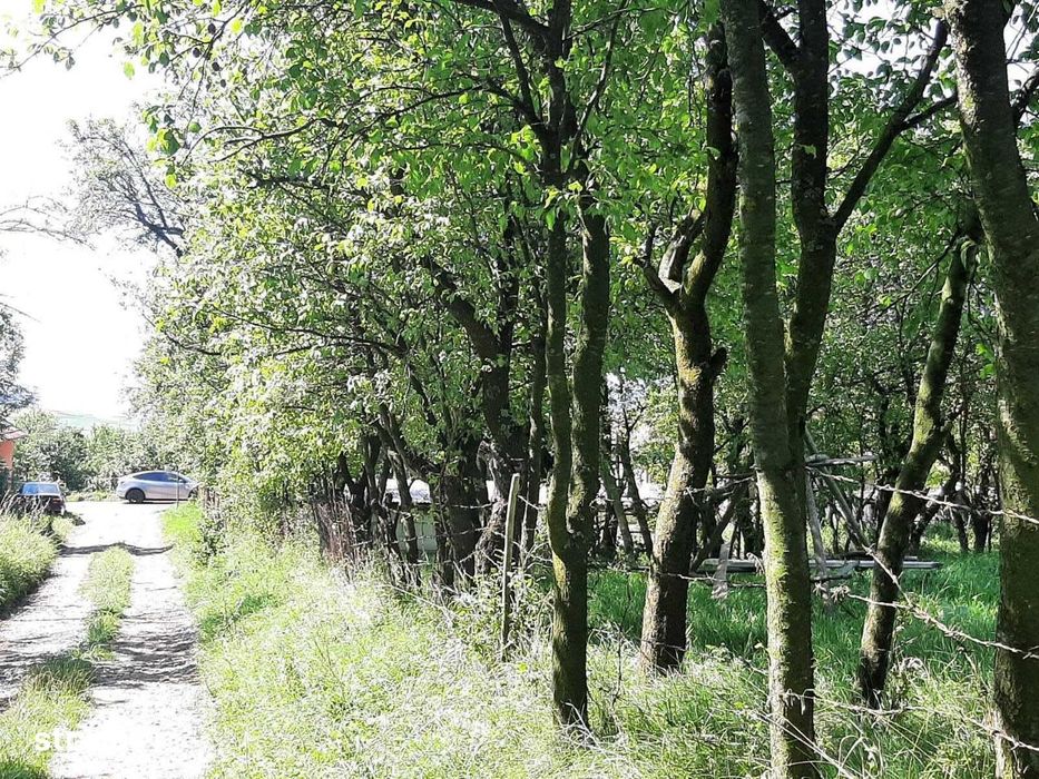 Teren de vanzare in Rediu