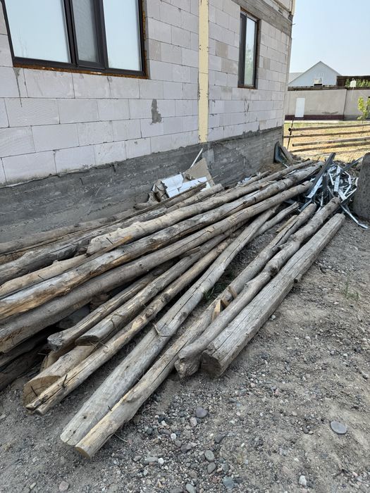 Дерева кругляк длинный