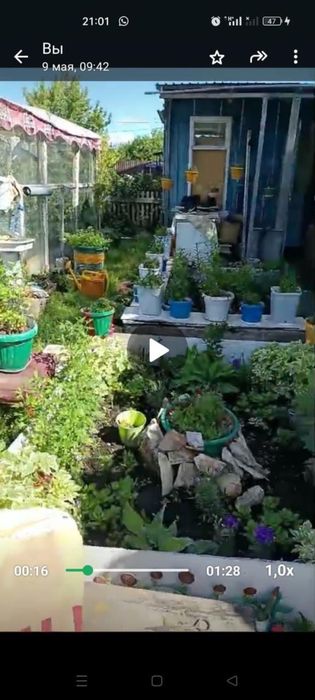 Дачный участок с постройками