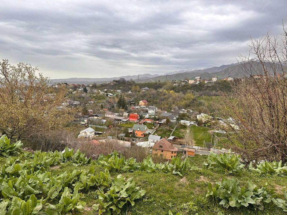 Продажа участка 51 сот