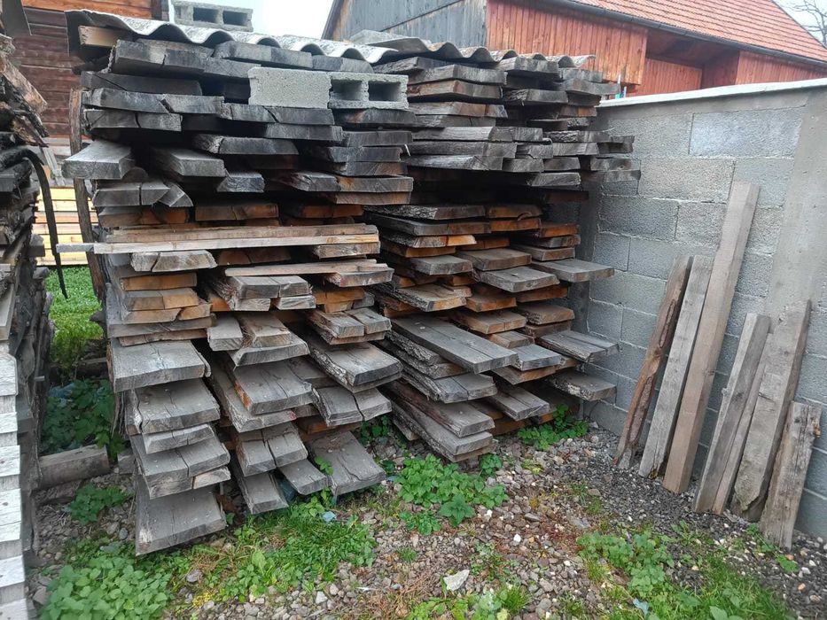 Cherestea Gorun (S, L)