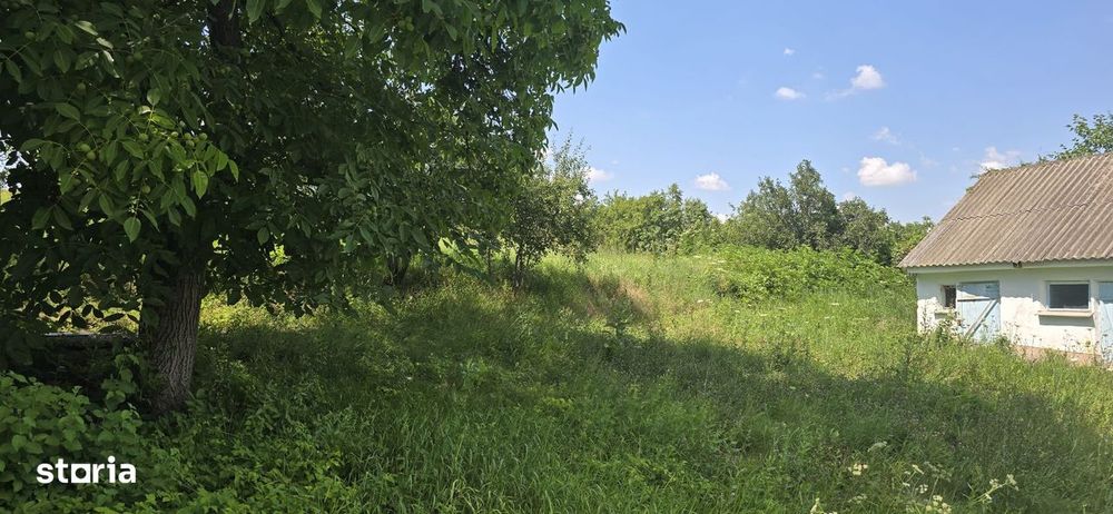 Teren cu casa bătrânească Horlești