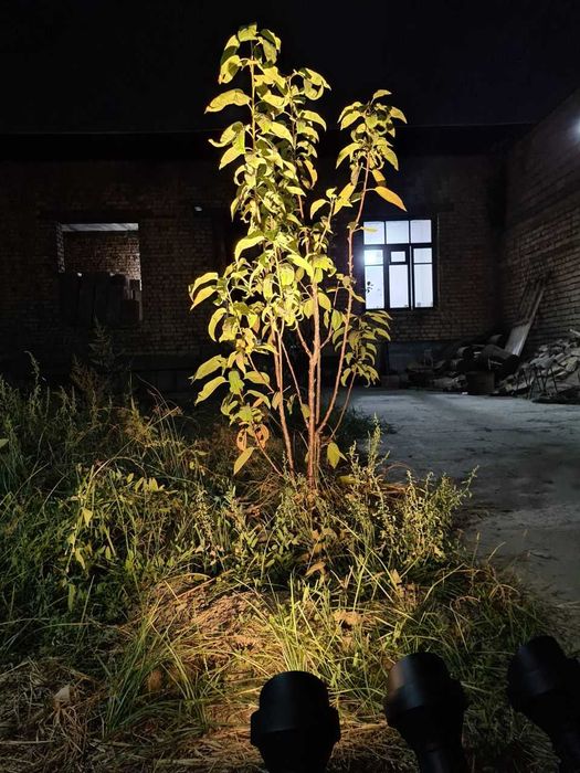 LED Landshaft Projektori | Garden Spot Light | ландшафтный прожектор