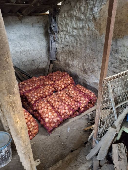Usturoi și ceapa de vinzare,În Macrina, jud Buzău