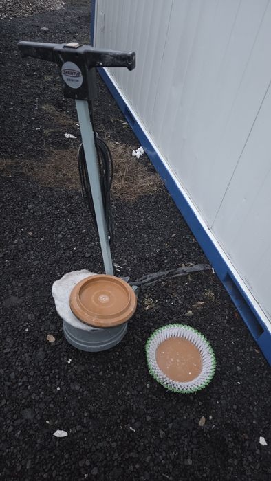 Monodisc pardoseli Sprintus