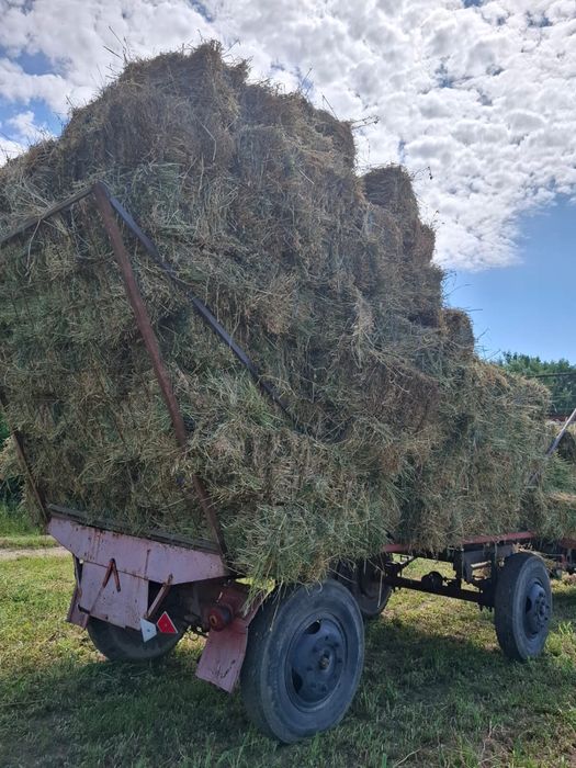 Baloti de vanzare (lucerna cuasa a doua )