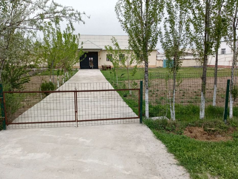 Сирдарйо вилойати Гулистон шахри Мирзаобод тумани