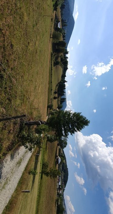 Teren de vânzare Arieșeni.