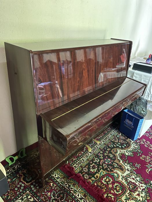 Pianino Lastochka