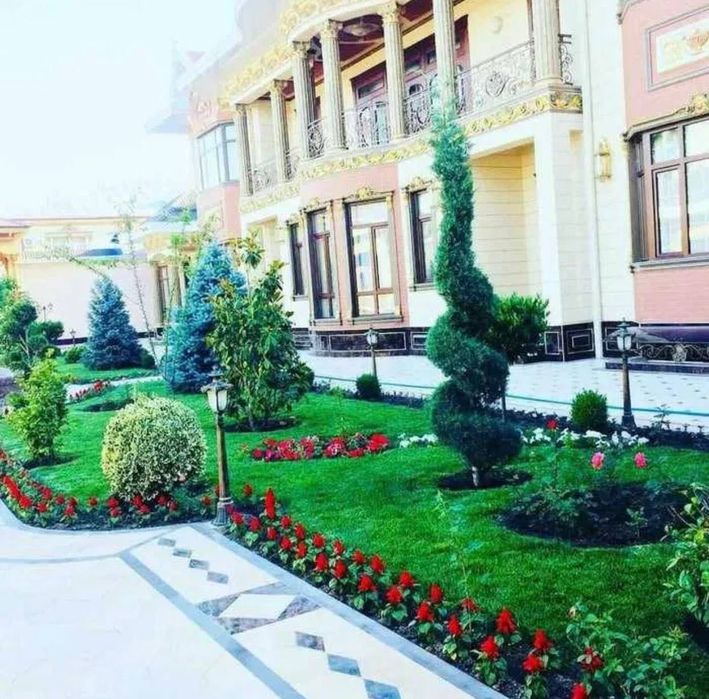 Газон урамиз арчаларга шакл берамиз стрижка