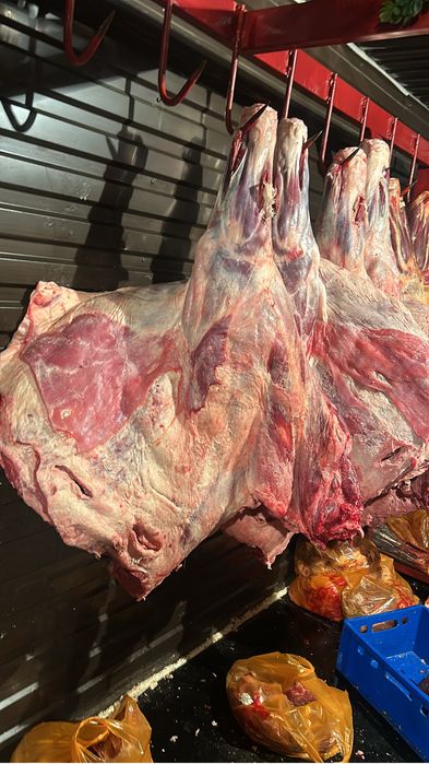 Жас тана етти тушалай