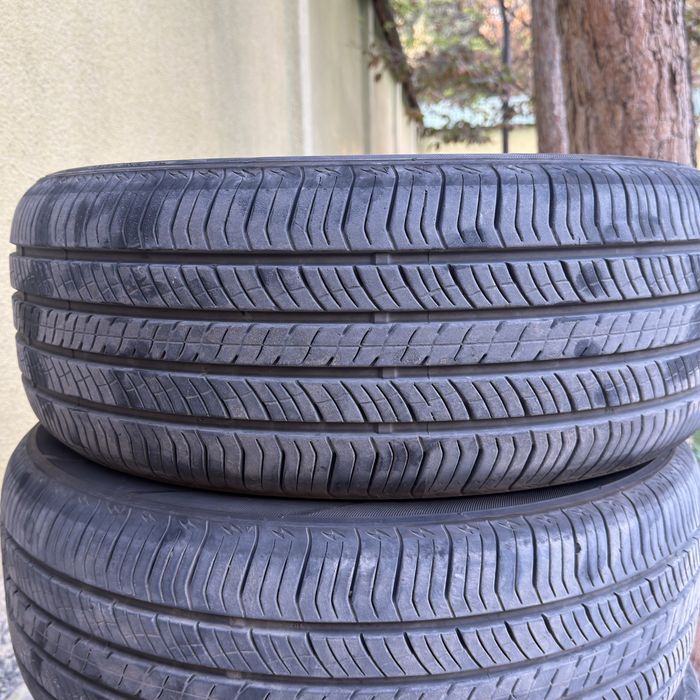 Balon byd seal 6