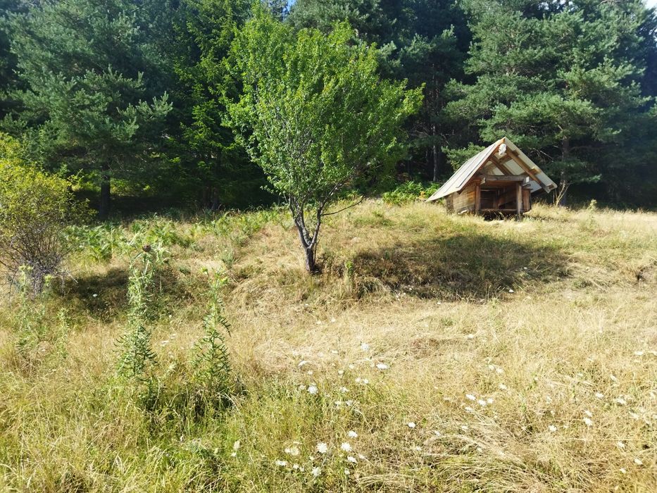 Продава панорамен южен парцел в гр.Смолян