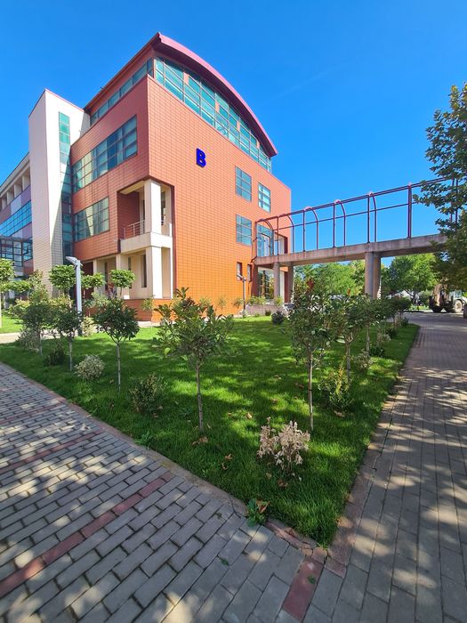 Amenajare Gradina - Gazon Rulouri - Iarba Verde - Peluza