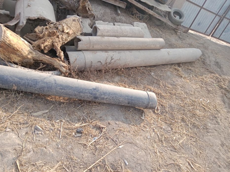 Begovot sobgʻoʻz da bu