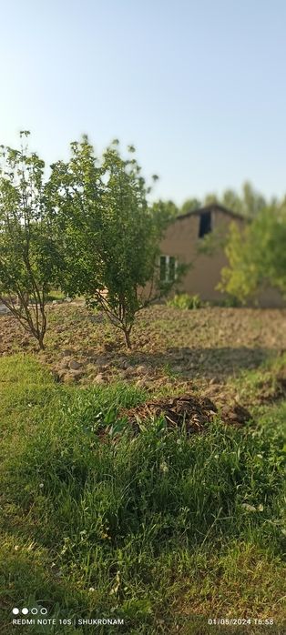 Uy sotiladi oʻrtacha sharoitida