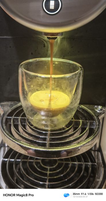 Nespresso Coffe Machine typ9737