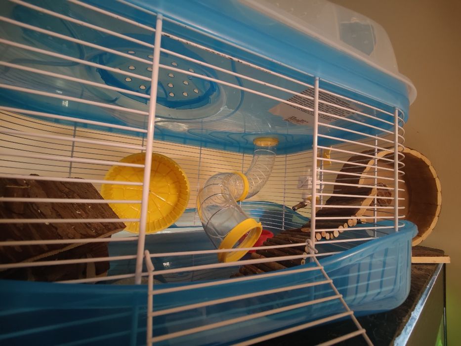 Cusca hamster 2 nivele